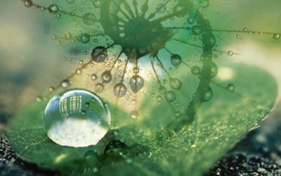 Por que o trabalho espiritual deve ser remunerado?